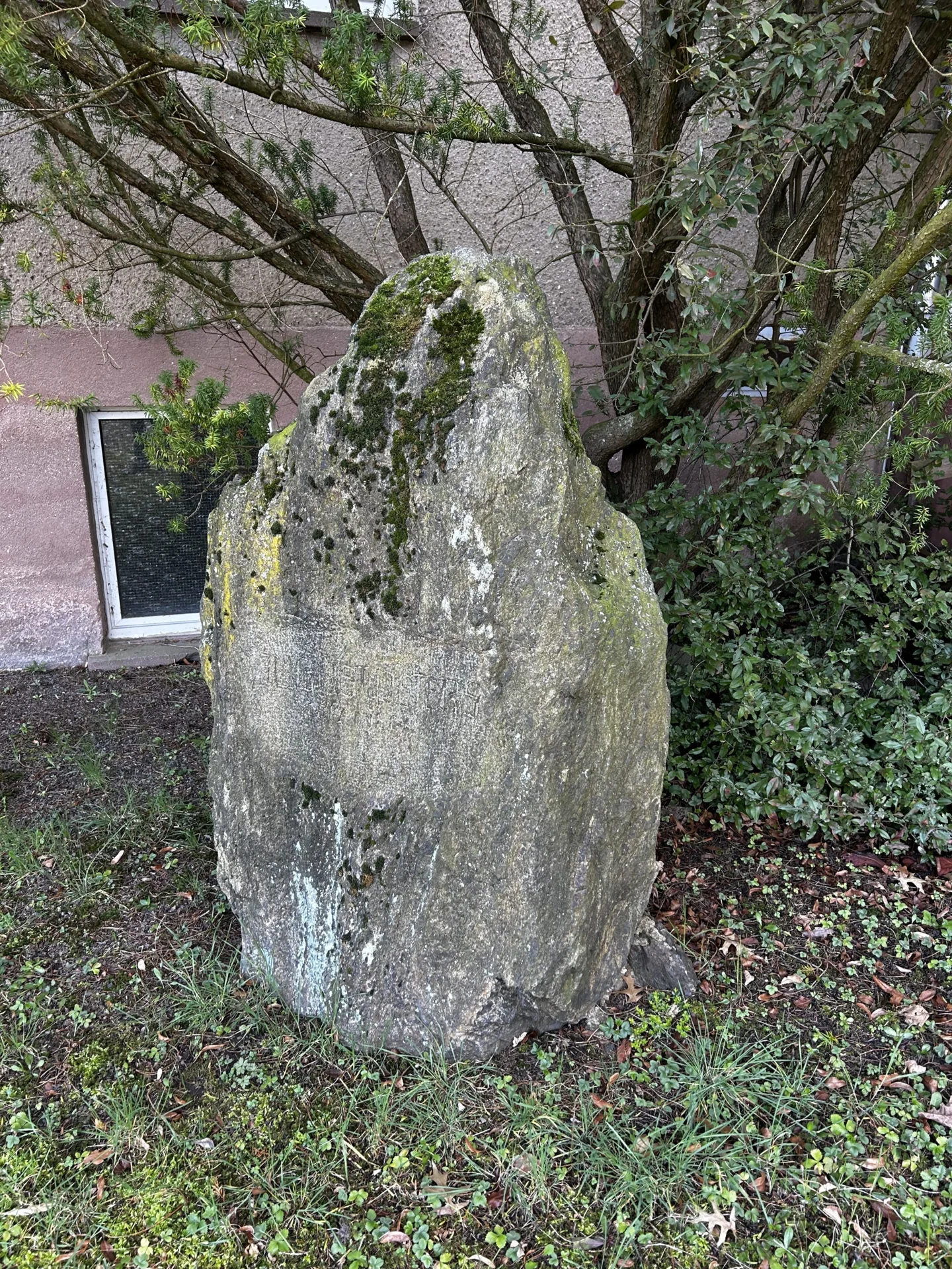 Bild der Galerie