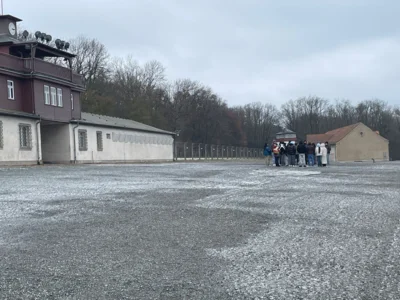 Foto des Albums: Buchenwald 2025