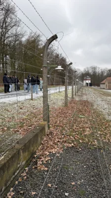 Foto des Albums: Buchenwald 2025