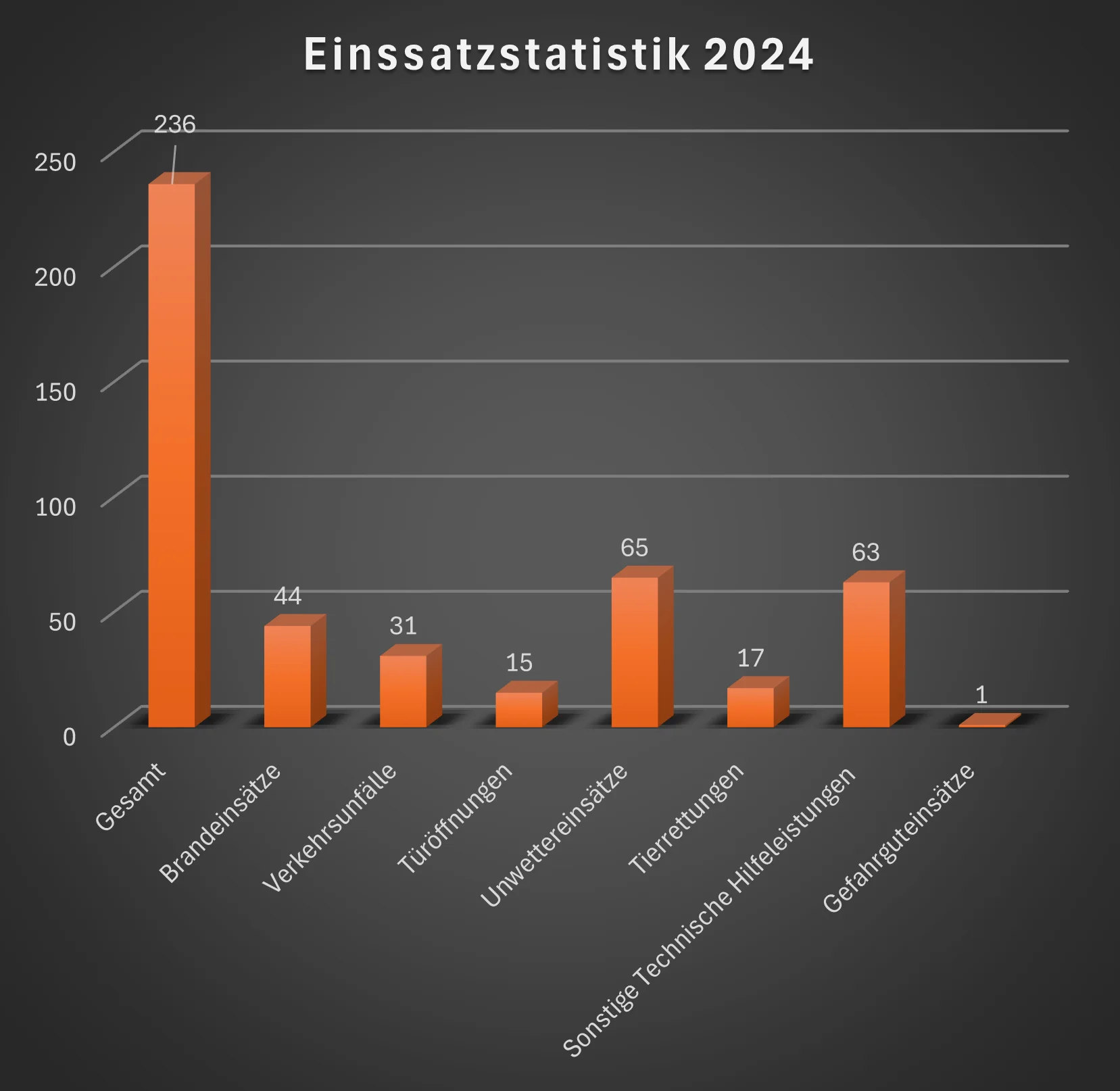 Bild: Einsatzstatistik 2024