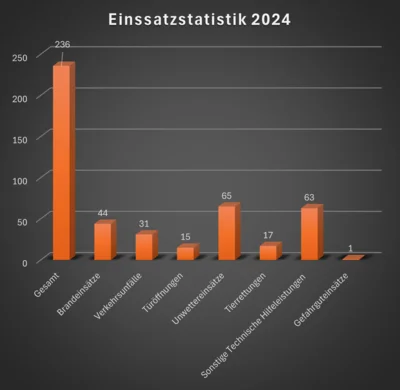 Einsatzstatistik 2024  (Bild vergr&ouml;&szlig;ern)