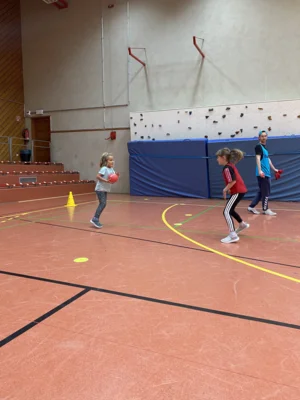 Foto des Albums: Handballtag