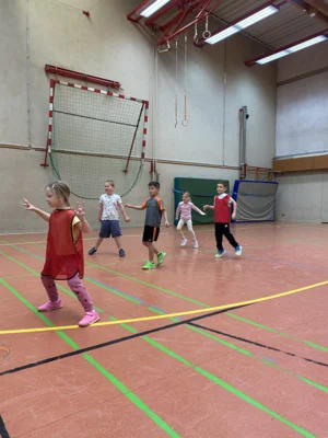 Foto des Albums: Handballtag
