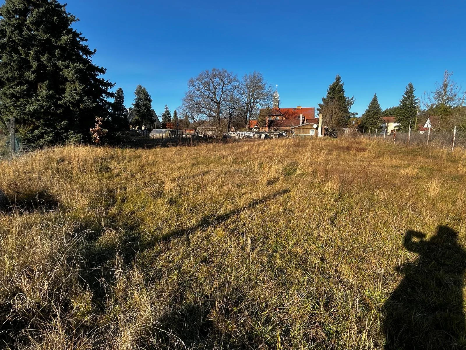 Bild: Gartenfläche mit Blick zum Gebäude