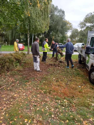 Foto des Albums: Oktober 2025 Seniorenpokal Arbeitseinsatz Micha