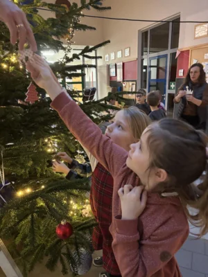 Foto des Albums: Weihnachtsbaum 2025