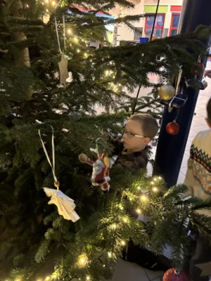 Foto des Albums: Weihnachtsbaum 2025