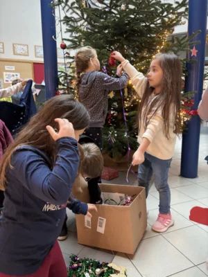 Foto des Albums: Weihnachtsbaum 2025