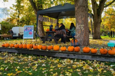 K&uuml;rbisschnitzen  (Bild vergr&ouml;&szlig;ern)
