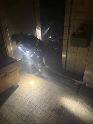 Foto des Albums: Dienst EÜ TH und LE Walze