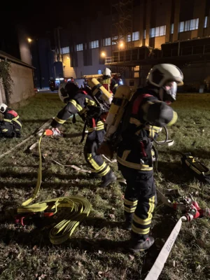 Foto des Albums: Dienst EÜ TH und LE Walze