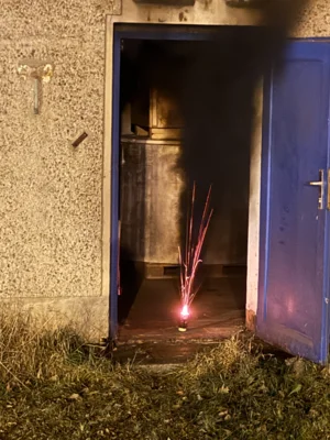 Foto des Albums: Dienst EÜ TH und LE Walze