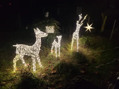 Foto des Albums: Advent in Zinndorf