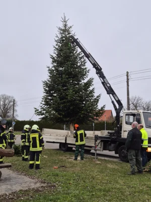 Foto des Albums: Der Tannenbaum in Neuendorf ist aufgestellt