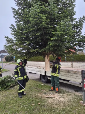 Foto des Albums: Der Tannenbaum in Neuendorf ist aufgestellt