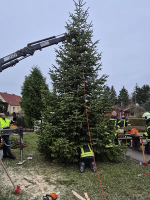 Foto des Albums: Der Tannenbaum in Neuendorf ist aufgestellt