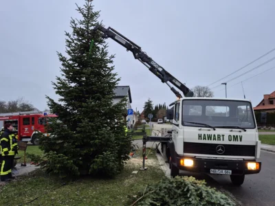 Foto des Albums: Der Tannenbaum in Neuendorf ist aufgestellt