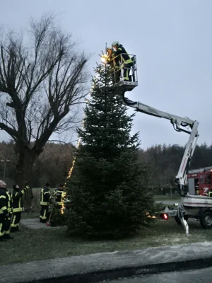 Foto des Albums: Der Tannenbaum in Neuendorf ist aufgestellt