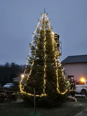 Foto des Albums: Der Tannenbaum in Neuendorf ist aufgestellt