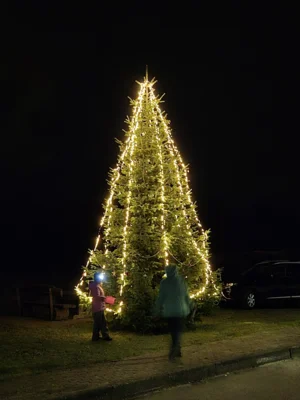 Foto des Albums: Der Tannenbaum in Neuendorf ist aufgestellt