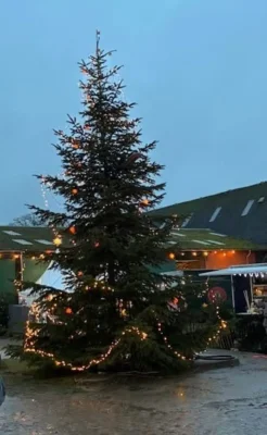 Foto des Albums: Weihnachtsmarkt
