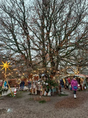 Foto des Albums: Weihnachtsmarkt