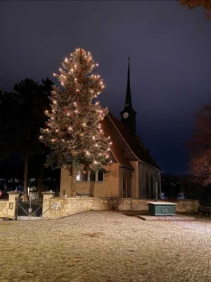 Foto des Albums: Weihnachtsbaumschmücken 2025