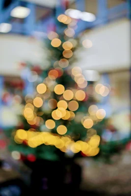 Foto des Albums: Tag der offenen Tür – Das SHG begeistert mit weihnachtlicher Stimmung