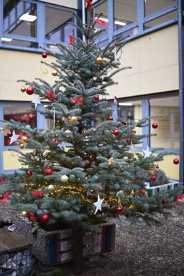 Foto des Albums: Tag der offenen Tür – Das SHG begeistert mit weihnachtlicher Stimmung