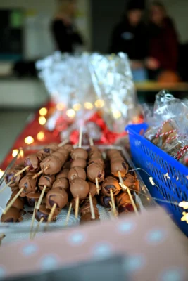 Foto des Albums: Tag der offenen Tür – Das SHG begeistert mit weihnachtlicher Stimmung