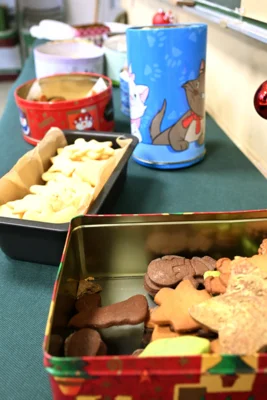 Foto des Albums: Tag der offenen Tür – Das SHG begeistert mit weihnachtlicher Stimmung