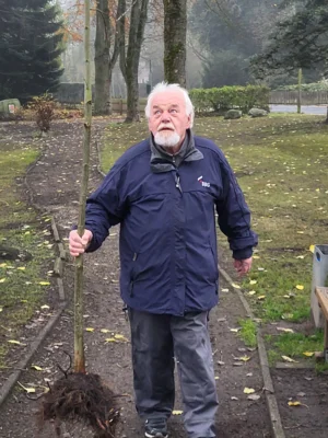 Foto des Albums: Baumpflanz-Challenge