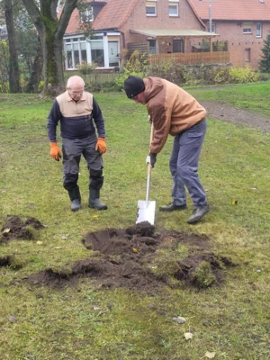 Foto des Albums: Baumpflanz-Challenge