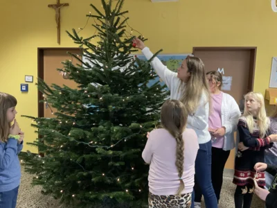 Foto des Albums: Weihnachtsbaum