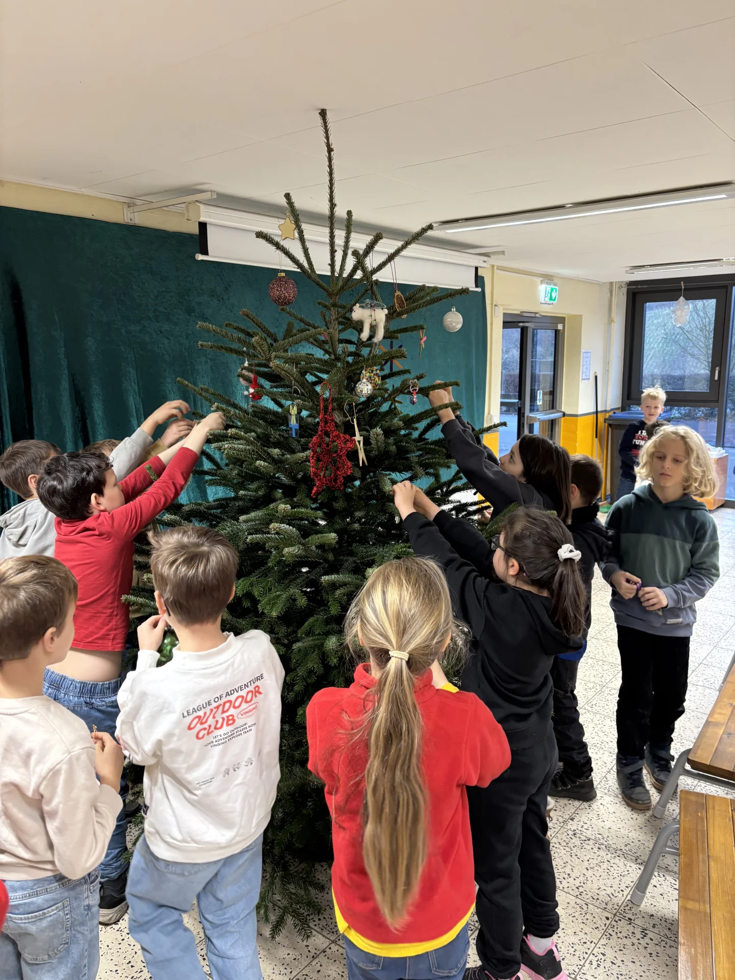 Bild der Galerie