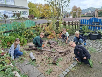 Foto des Albums: Herbstliche und adventliche Arbeiten in der AG Schulgarten