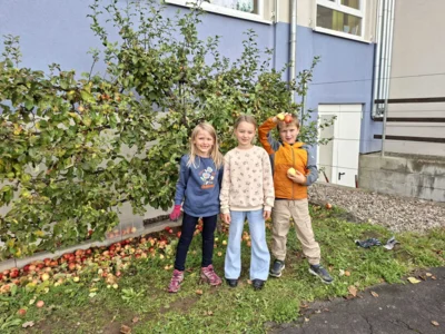 Foto des Albums: Herbstliche und adventliche Arbeiten in der AG Schulgarten