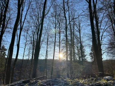 Foto des Albums: Totenborn, Blutbach und leckere Torten