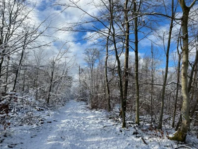 Foto des Albums: Totenborn, Blutbach und leckere Torten
