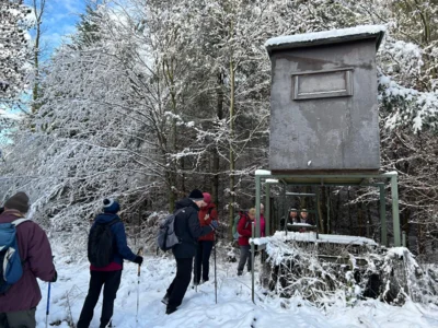 Rast uinter dem  Hochsitz  (Bild vergr&ouml;&szlig;ern)
