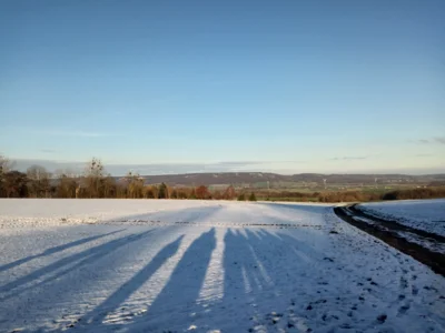 Radener Feldmark  (Bild vergr&ouml;&szlig;ern)