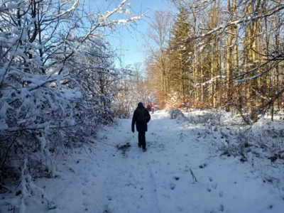 Foto des Albums: Totenborn, Blutbach und leckere Torten