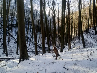 Tal der Totenbornquelle  (Bild vergr&ouml;&szlig;ern)