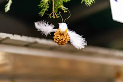 Foto des Albums: Weihnachtsmarkt 2025