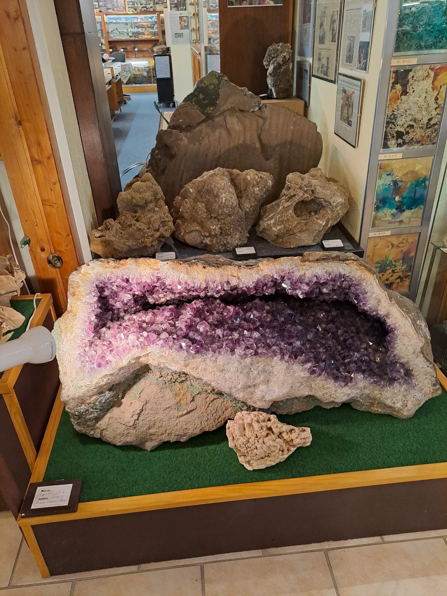 Bild der Galerie