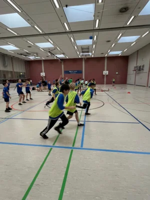 Foto des Albums: Jugend trainiert für Olympia