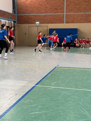 Foto des Albums: Jugend trainiert für Olympia