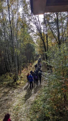 Foto des Albums: 28. Erlebnistag Wandern des Kreissportbundes am 31.10.2025 in Hohenleipisch