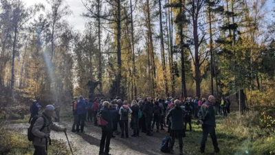 Foto des Albums: 28. Erlebnistag Wandern des Kreissportbundes am 31.10.2025 in Hohenleipisch