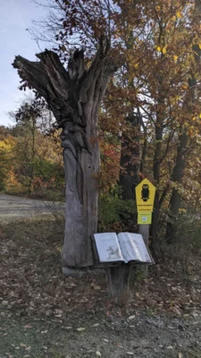 Foto des Albums: 28. Erlebnistag Wandern des Kreissportbundes am 31.10.2025 in Hohenleipisch